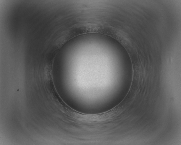 X0000074210034200608251114