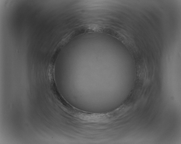 X0000074210036200608251114