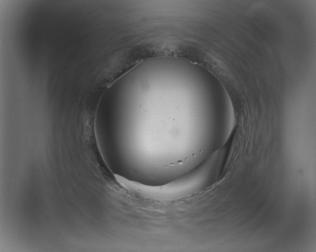 X0000074210037200608251114