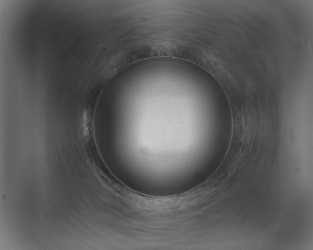 X0000074210038200608251114