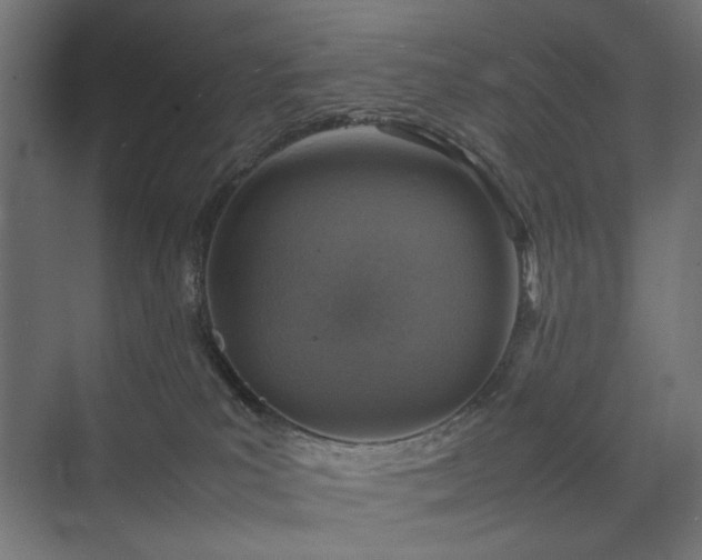 X0000074210039200608251114