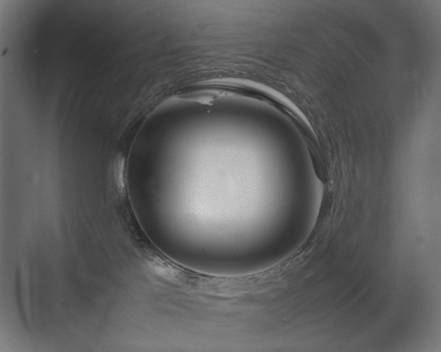 X0000074210041200608251114