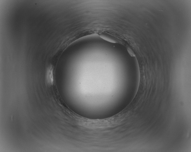 X0000074210042200608251114