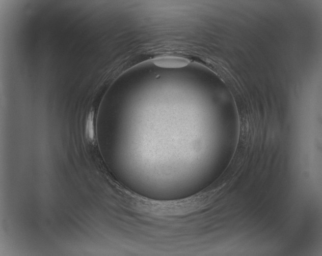 X0000074210046200608251114