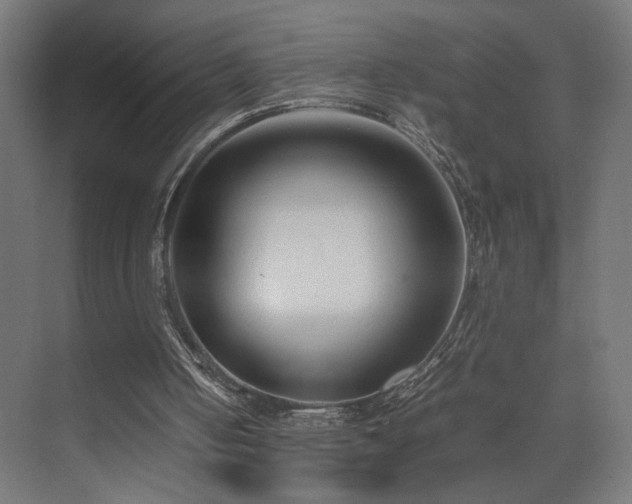 X0000074210050200608251113