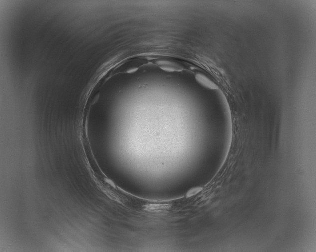 X0000074210051200608251113