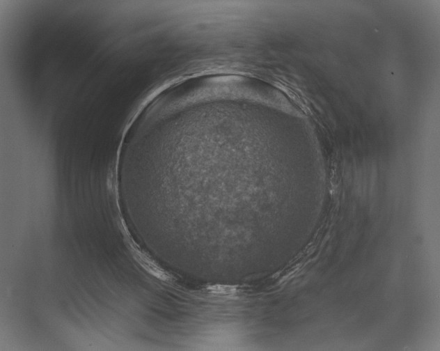 X0000074210052200608251113