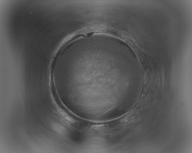 X0000074210054200608251113