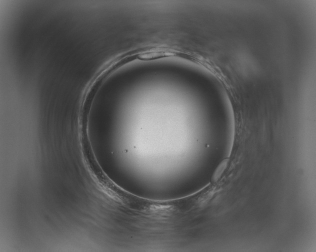 X0000074210055200608251113