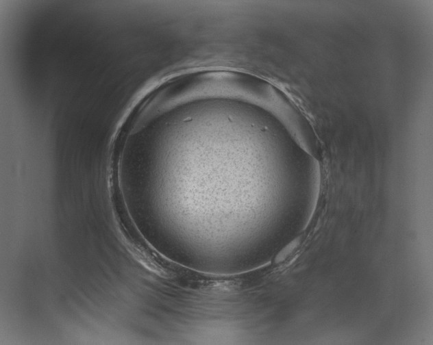 X0000074210056200608251113