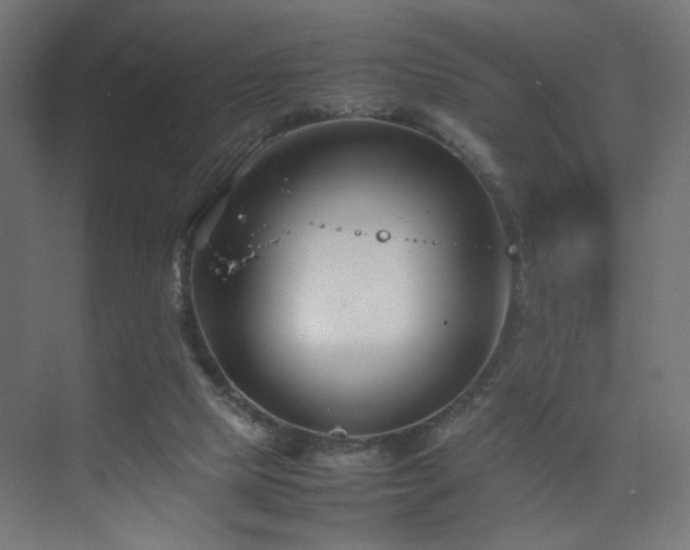 X0000074210065200608251113