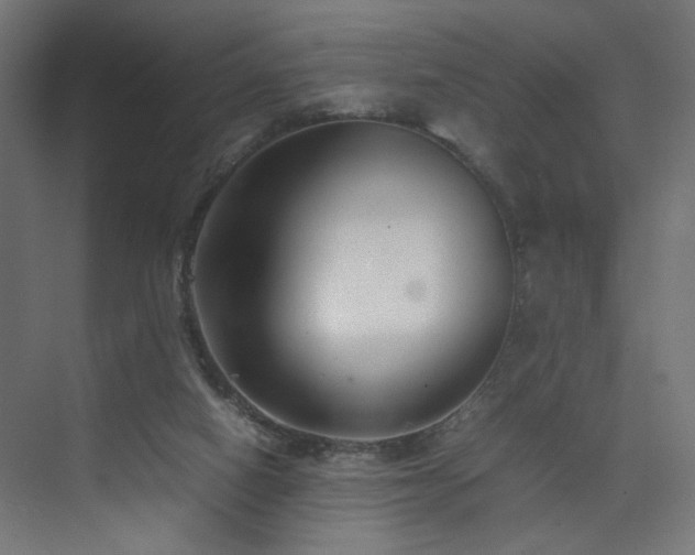 X0000074210066200608251113