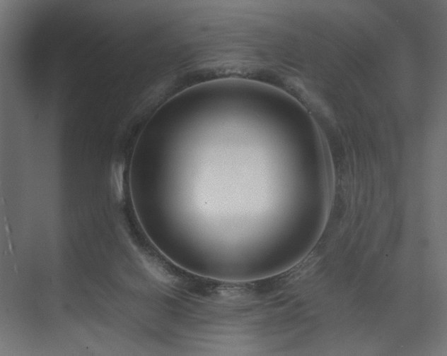 X0000074210070200608251114