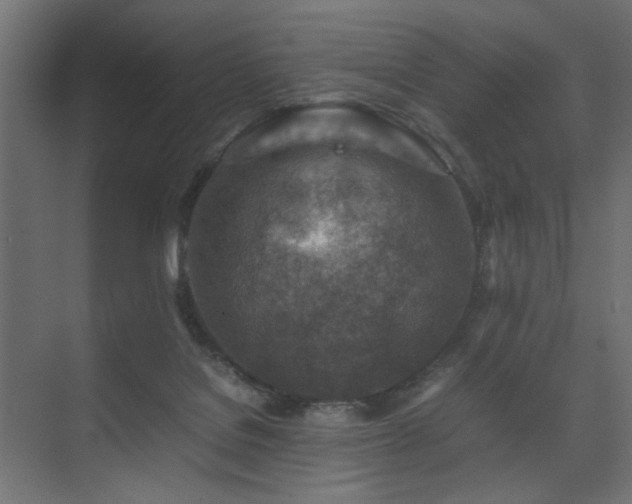 X0000074210076200608251114