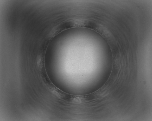X0000074210079200608251114
