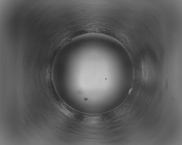 X0000074210081200608251114