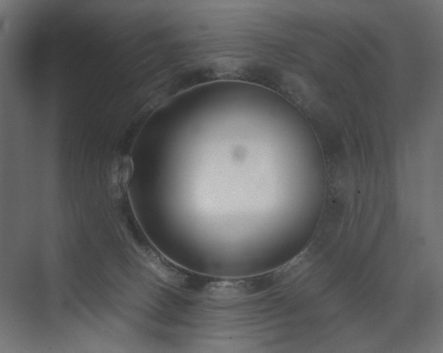X0000074210082200608251114
