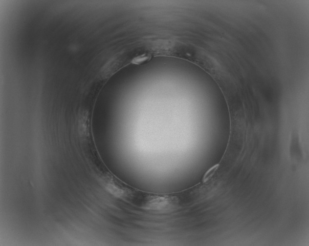 X0000074210083200608251114