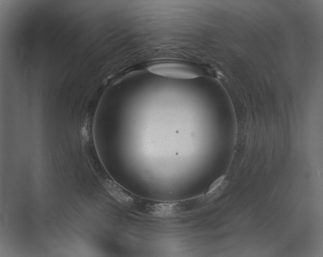 X0000074210090200608251114