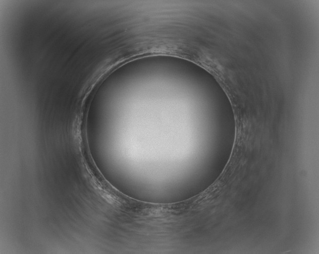 X0000074210098200608251113