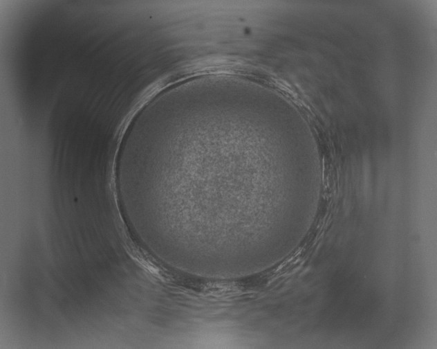 X0000074210099200608251113