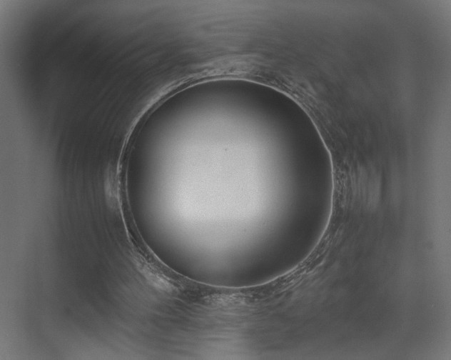 X0000074210100200608251113
