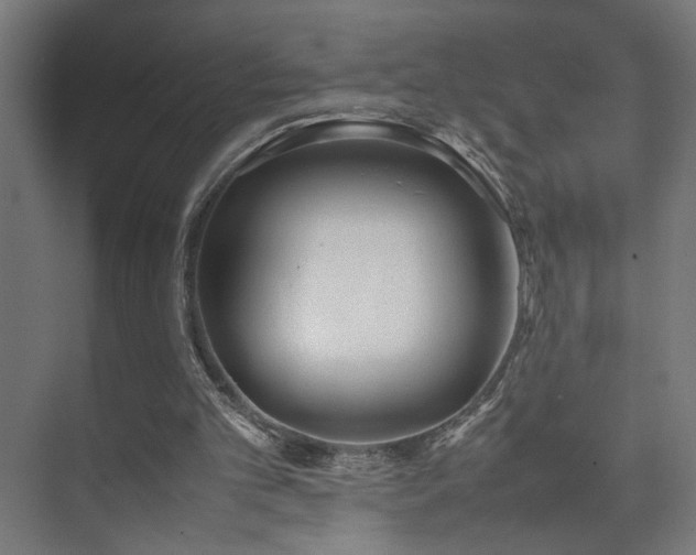 X0000074210101200608251113
