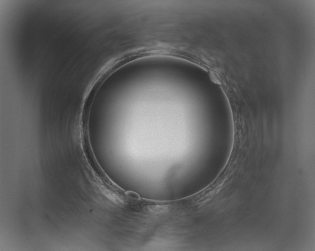 X0000074210102200608251113