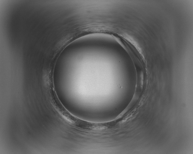 X0000074210105200608251113