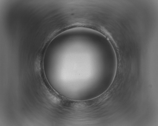 X0000074210106200608251113