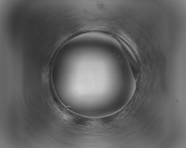 X0000074210107200608251113