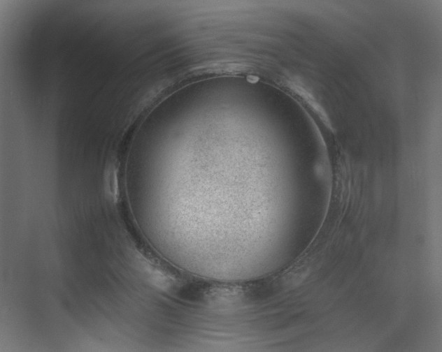 X0000074210110200608251113