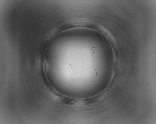 X0000074210113200608251113