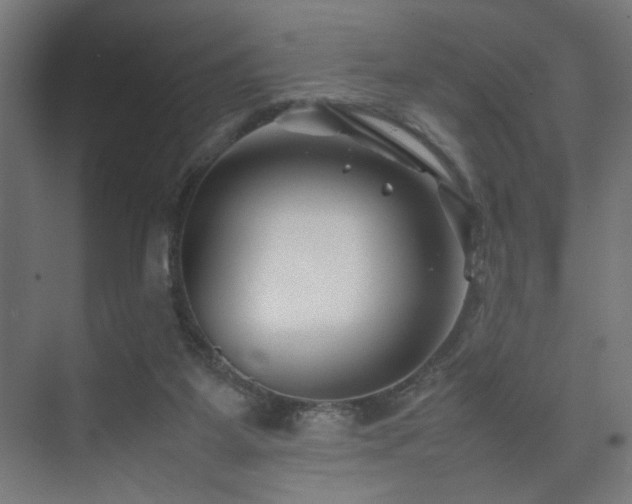 X0000074210115200608251113