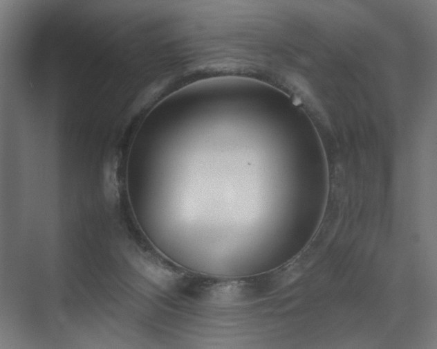 X0000074210116200608251113