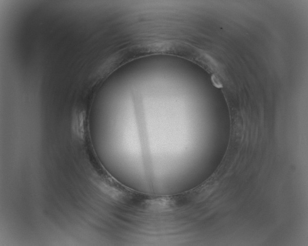 X0000074210118200608251113