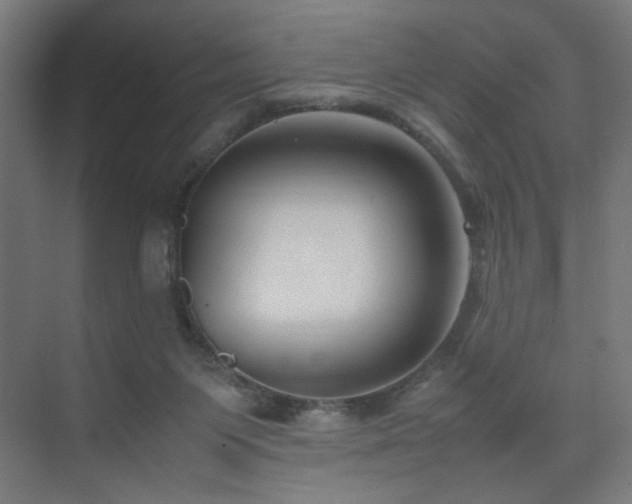 X0000074210119200608251113