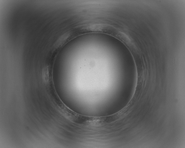 X0000074210120200608251113