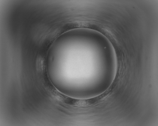 X0000074210123200608251113