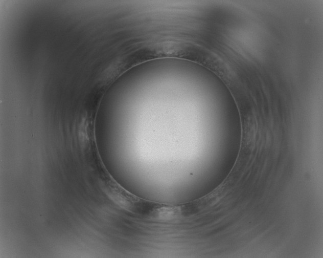 X0000074210126200608251113