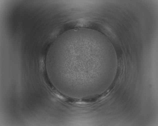 X0000074210127200608251113