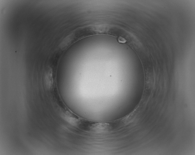 X0000074210128200608251113