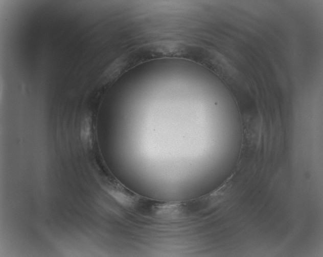 X0000074210132200608251113