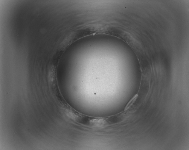 X0000074210133200608251113