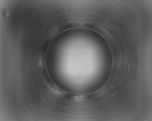 X0000074210134200608251113