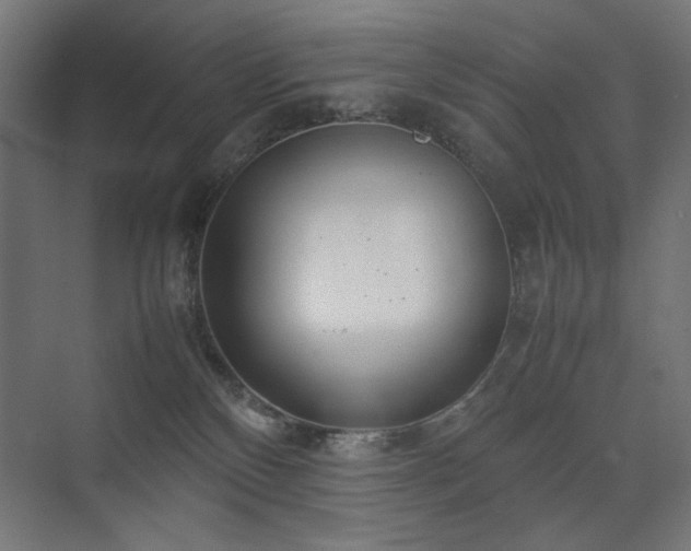 X0000074210136200608251112