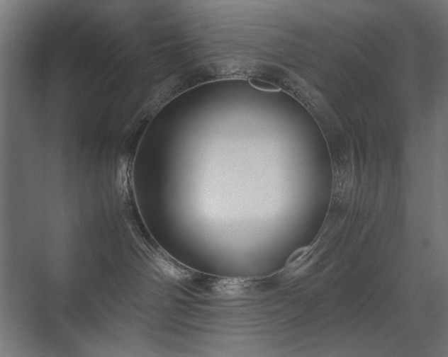 X0000074210142200608251112