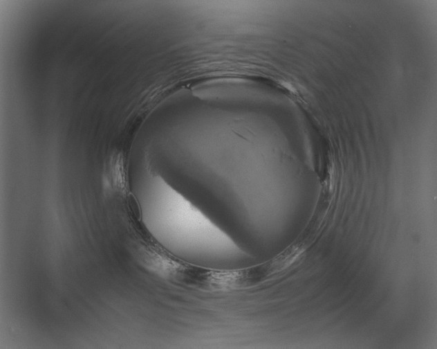 X0000074210143200608251112