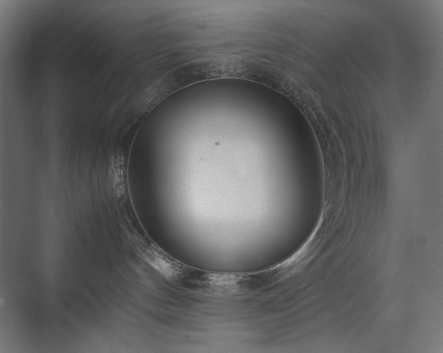 X0000074210144200608251112