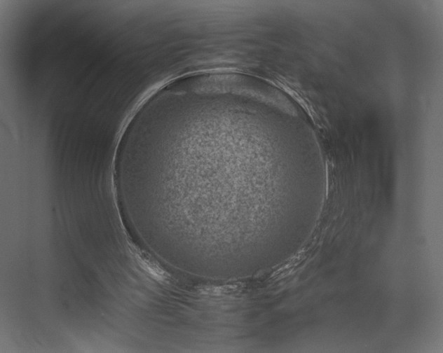 X0000074210147200608251112